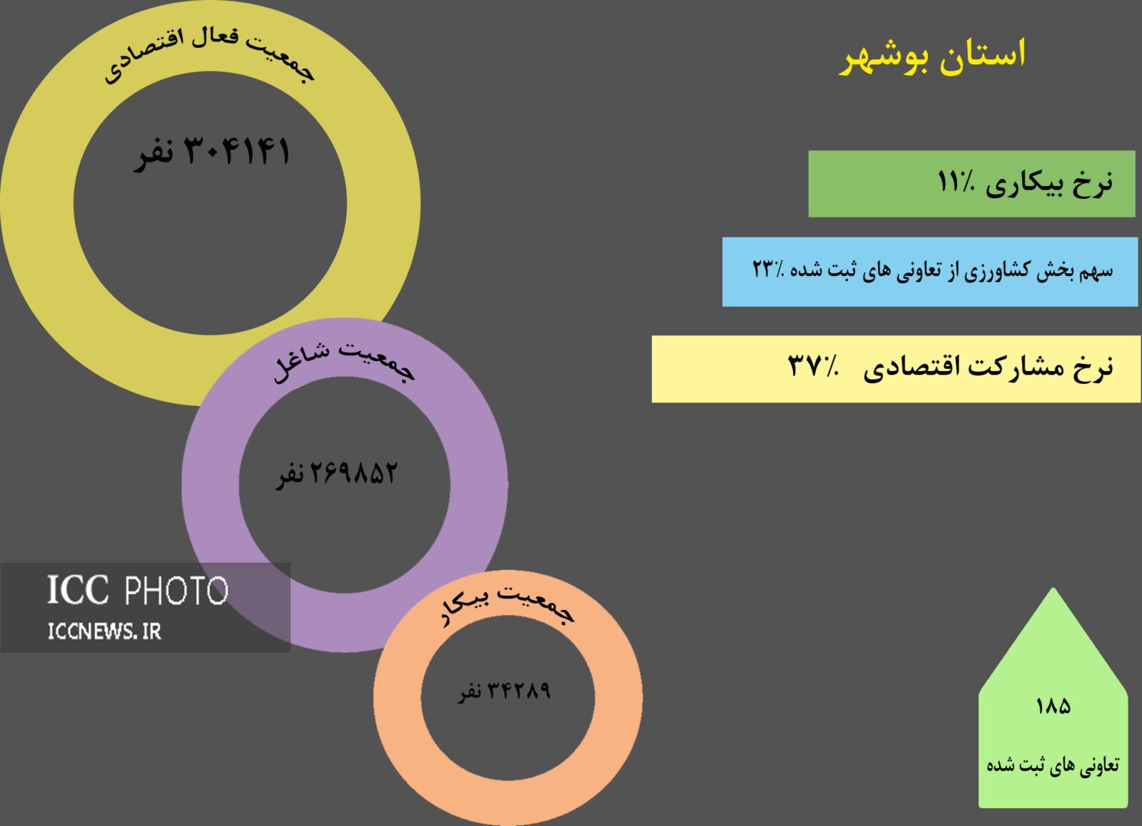 آمار اقتصادی بخش تعاون در بوشهر منتشر شد/ ثبت 185 تعاونی