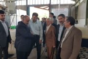بازدید از 4طرح تولیدی و صنعتی تعاونی در کرمانشاه