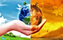 گرامیداشت روز جهانی تعاون با تقدیر از تعاونگران فعال در حوزه  مقابله با تغییرات اقلیمی