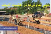 سهم تعاونی‌ها در اقتصاد تایلند