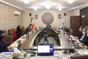 برگزاری نشست هماهنگی اعضای ایرانی ICA با دفتر منطقه‌ای اتحادیه بین‌المللی تعاون
