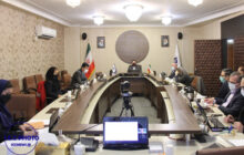 برگزاری نشست هماهنگی اعضای ایرانی ICA با دفتر منطقه‌ای اتحادیه بین‌المللی تعاون