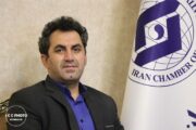 رضا وفایی یگانه به عنوان سرپرست معاونت اقتصادی و کسب و کار اتاق تعاون ایران منصوب شد