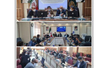 جلسه هیئت موسس محصولات استراتژیک خراسان جنوبی تشکیل شد/ تعاونی‌های مصرف استان در توزیع کالاهای اساسی فعال تر شوند