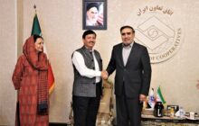 توسعه همکاری تعاونی‌های ایران و هند بررسی شد