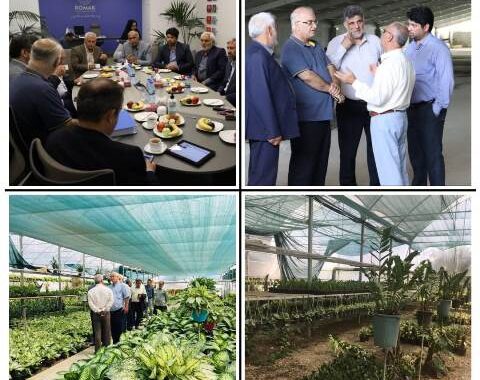 طرحهای کشاورزی تعاونی‌های برتر ملی استان مازندران بررسی شد