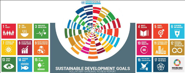 نقش تعاونی‌ها در اقتصاد اجتماعی و همبستگی برای دستیابی به اهداف توسعه پایدار