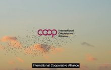 تازه ترین معرفی تعاون در سطح بین الملل به مناسبت سال جهانی تعاون 2025