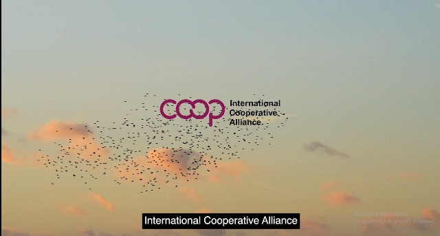 تازه ترین معرفی تعاون در سطح بین الملل به مناسبت سال جهانی تعاون 2025