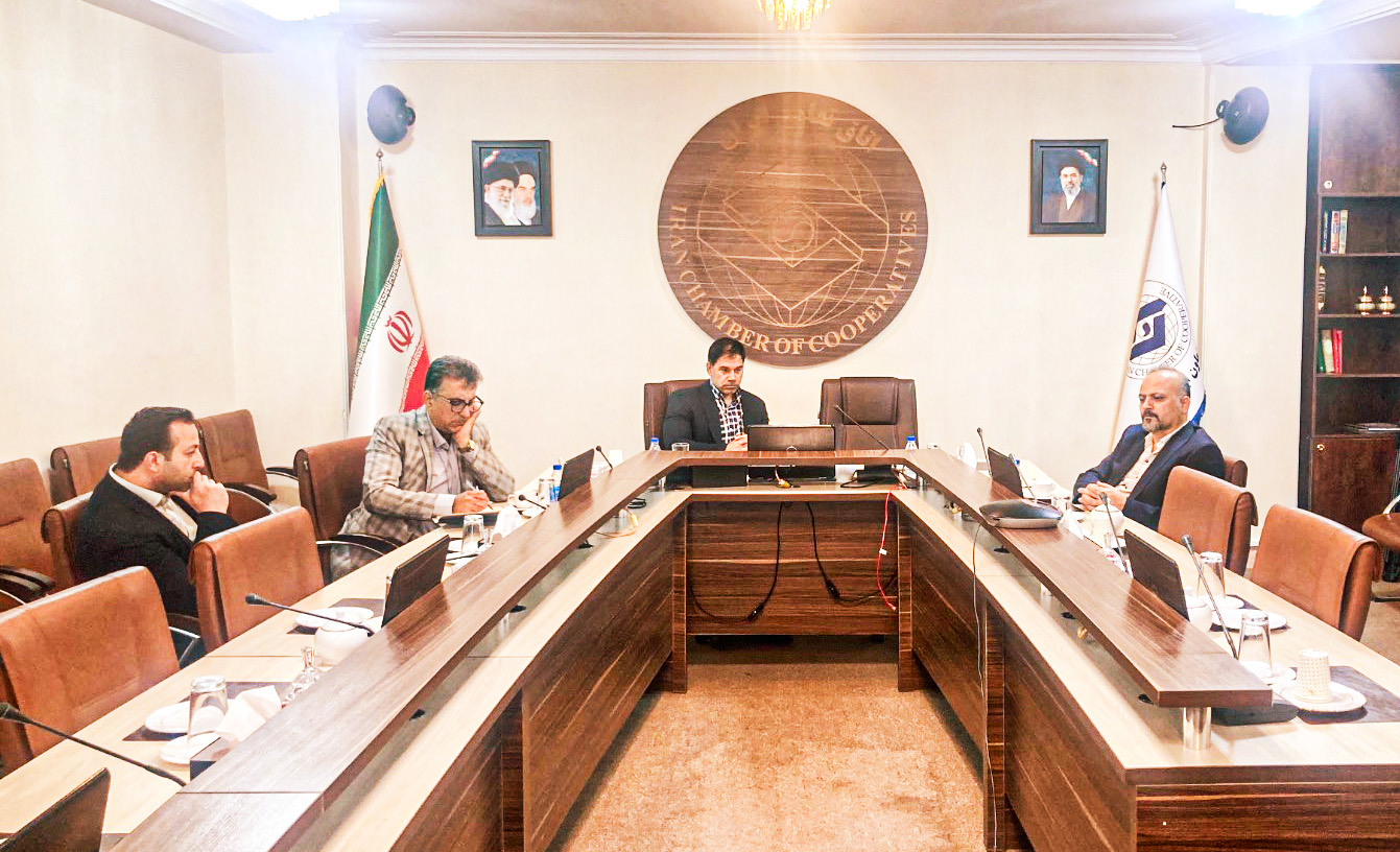 برگزاری وبینار تخصصی بررسی چارچوب قانونی مسکن تعاونی؛ با استفاده از گزارش طرح سازمان بین‌المللی تحقیق و تحلیل حقوقی (ILRAI)