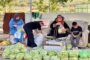 امید در فرایند برداشت؛ تعاونی‌های فلسطینی در شرایط بحرانی قوی می‌مانند