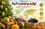 بررسی وضعیت تولید و تجارت انبه در ایران و جهان
