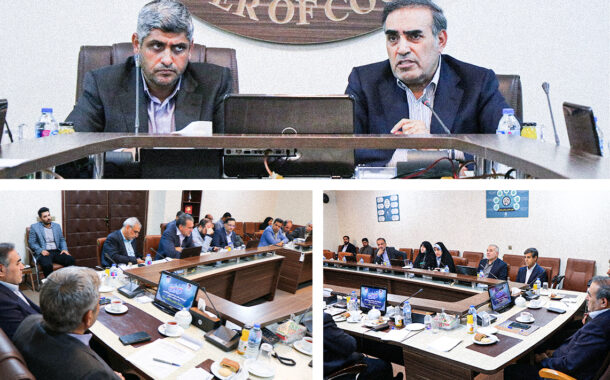 تأکید بر احیای جایگاه تعاون و تعیین تکلیف سهام عدالت؛ از انتقاد به اجرای قوانین تا تدوین نقشه راه نظارتی مجلس
